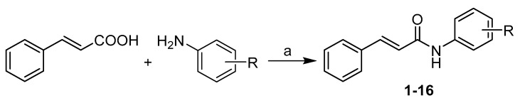 Scheme 1