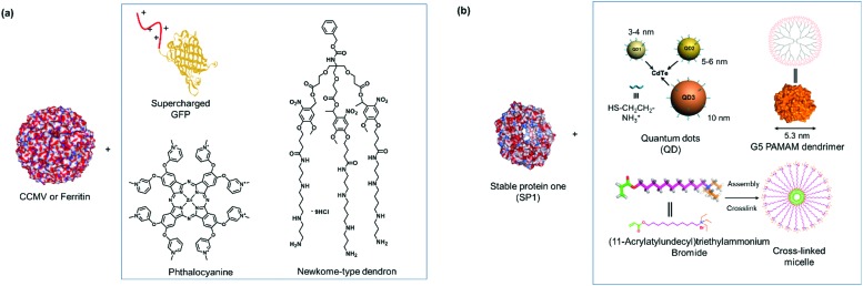 Fig. 5