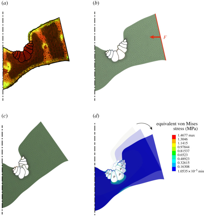 Figure 4.