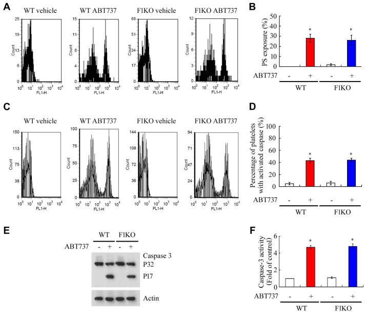 Figure 2—figure supplement 2.