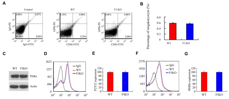 Figure 2—figure supplement 1.