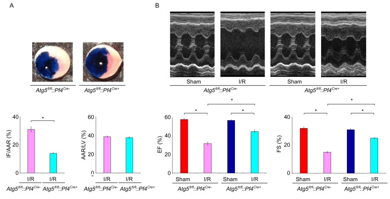 Figure 4—figure supplement 1.