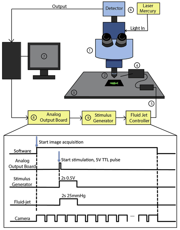 FIGURE 3