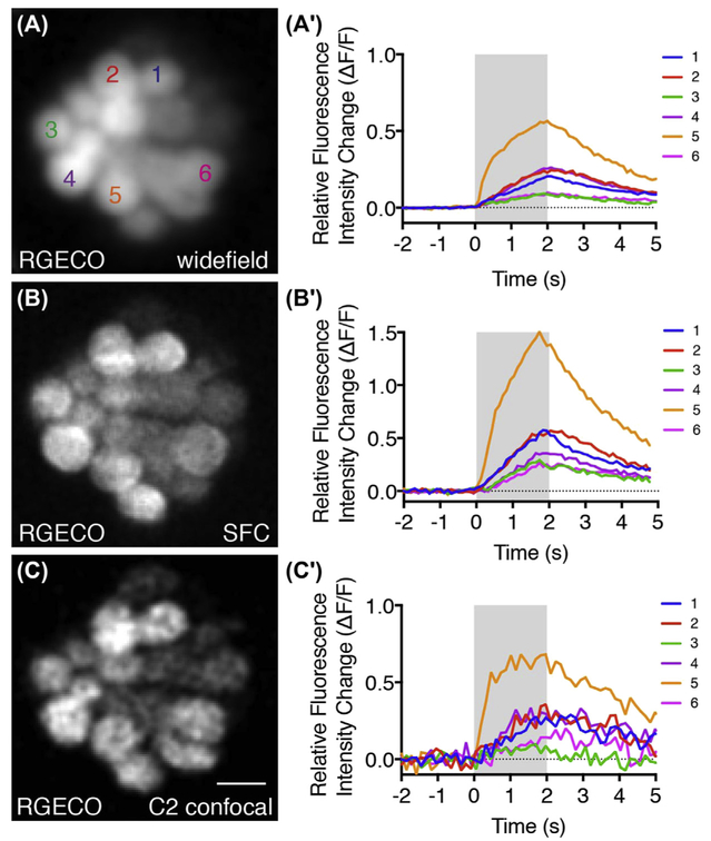 FIGURE 4