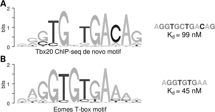 Figure 5.