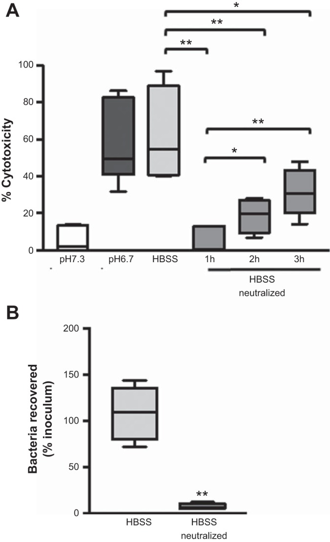 Fig. 8.