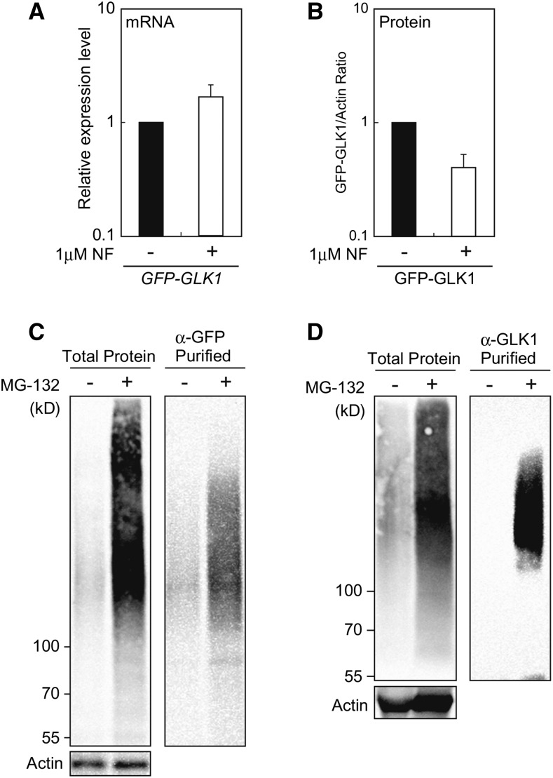 Figure 7.