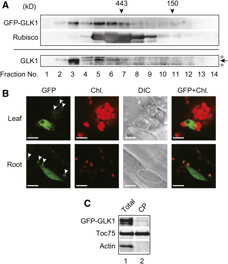 Figure 6.