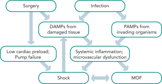 Figure 1: