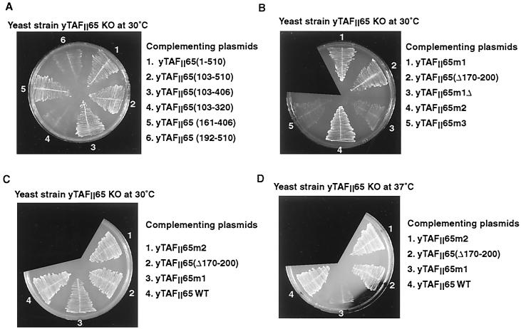 FIG. 8