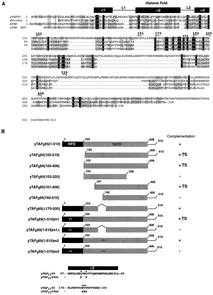 FIG. 7