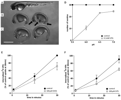 Fig. 7.