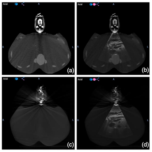 Fig. 5