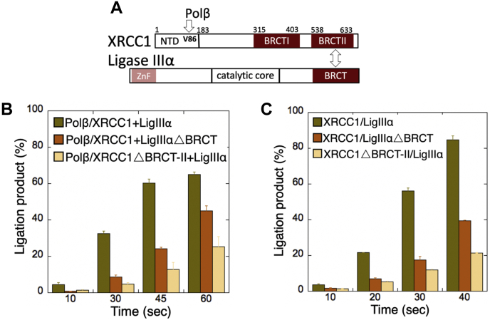 Figure 10