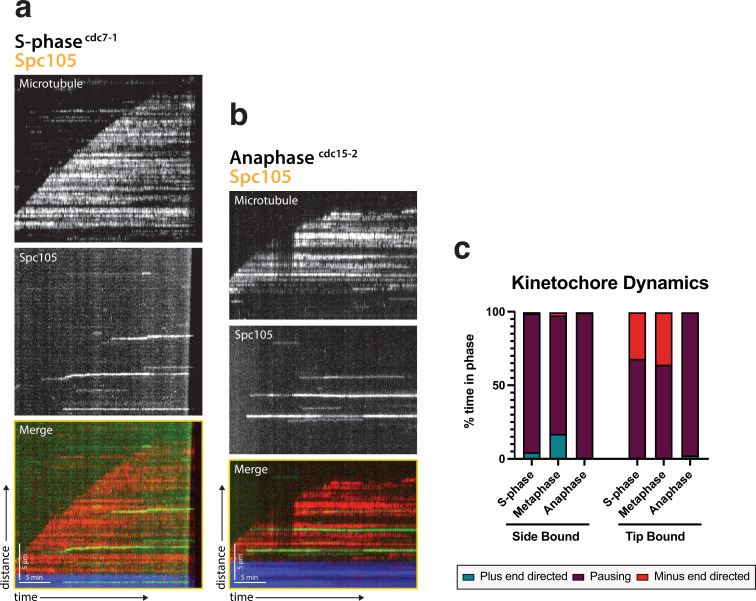 Figure 1—figure supplement 1.