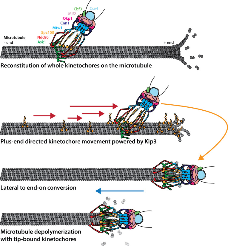 Figure 6.