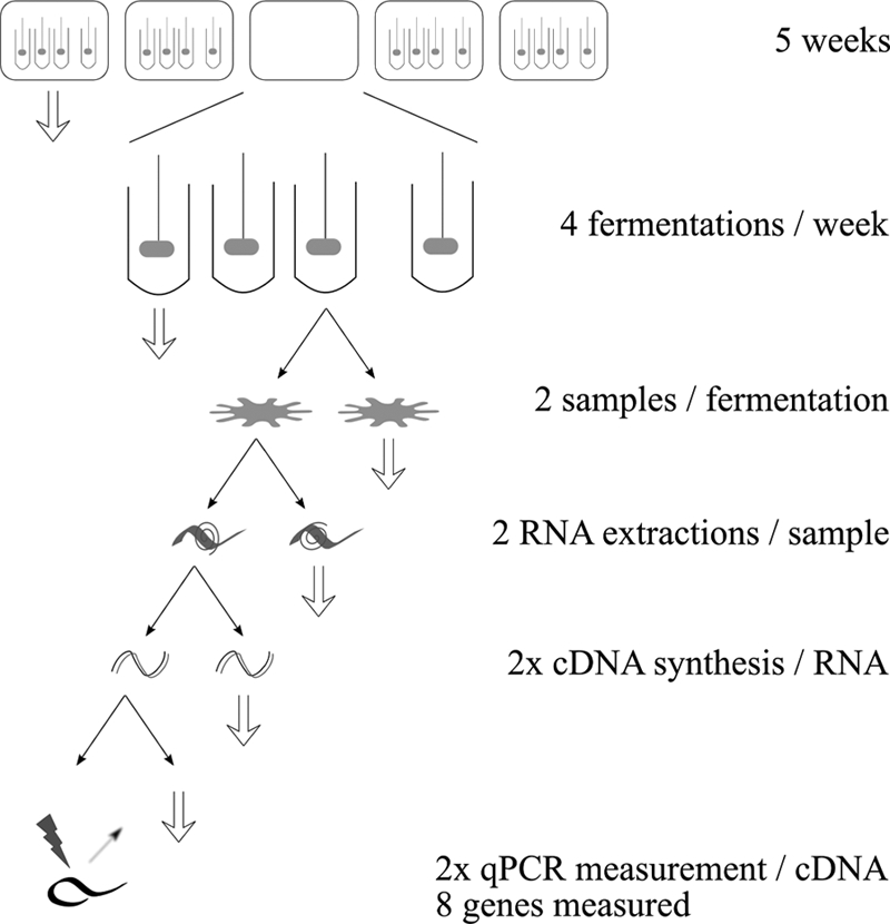 FIG. 2.