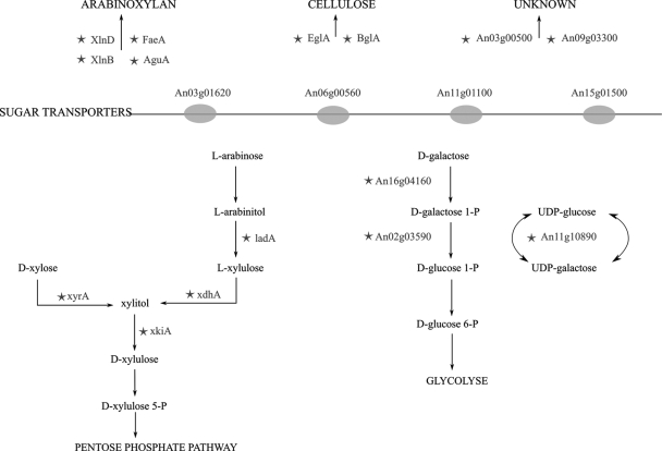 FIG. 4.