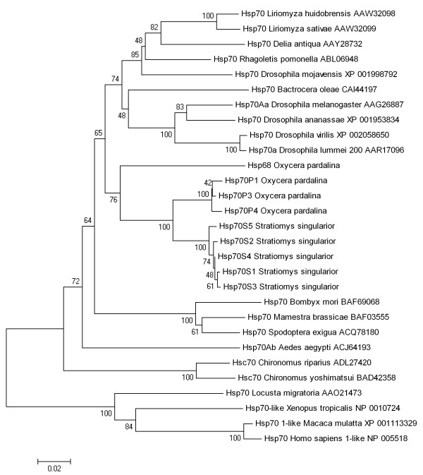 Figure 6