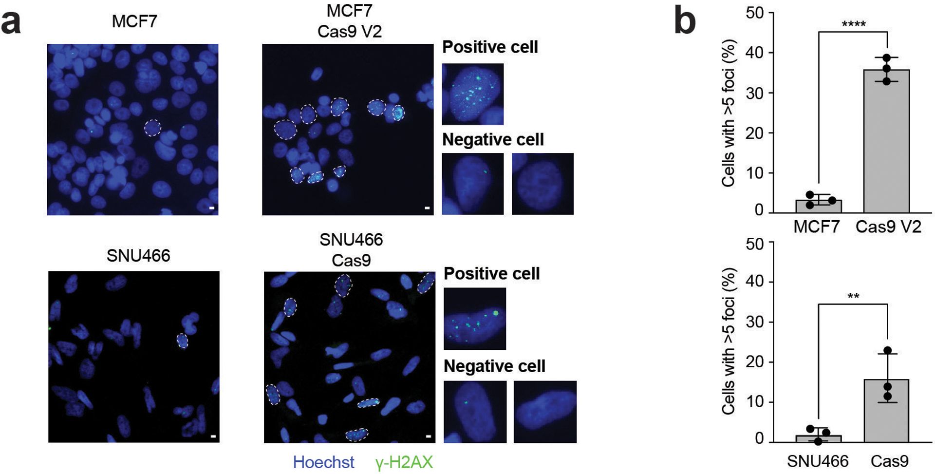 Figure 2: