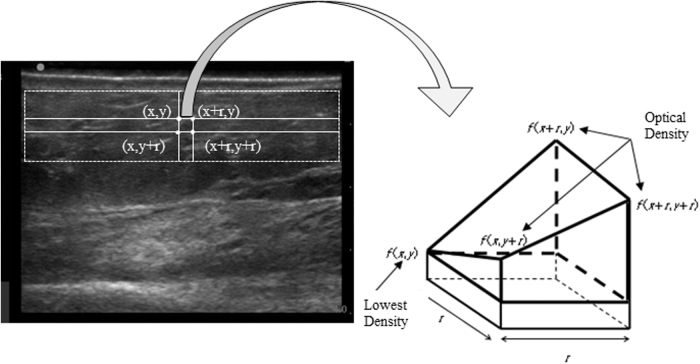 FIG. 1.