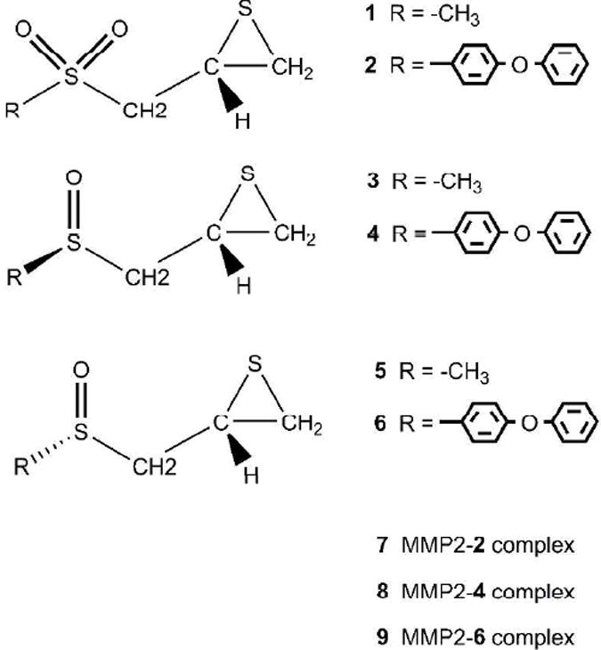 Scheme 2