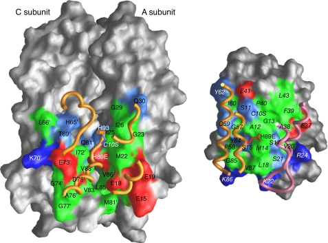 FIGURE 5.