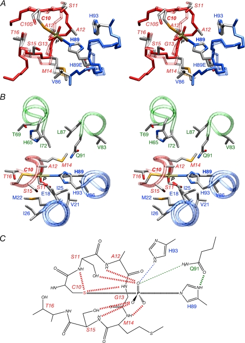 FIGURE 6.