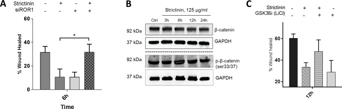 Fig 5