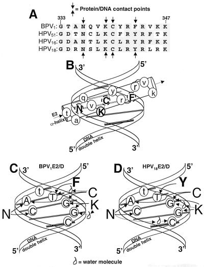 FIG. 9