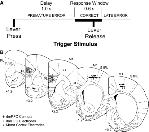 FIG. 1.