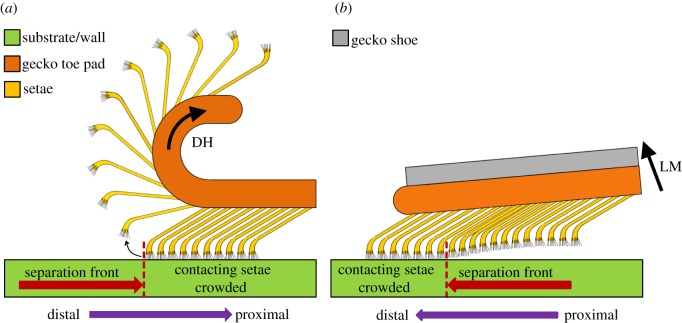 Figure 5.