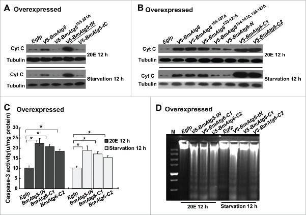 Figure 10.