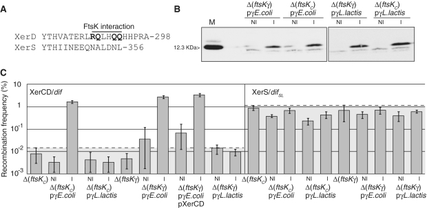 Figure 7.