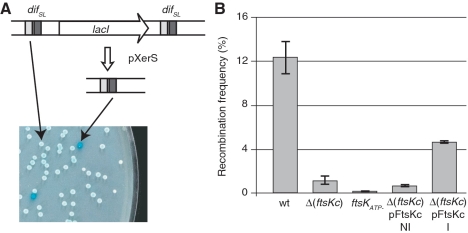 Figure 5.