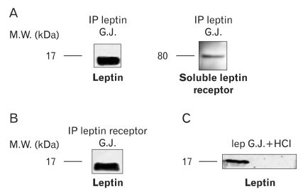 Fig. 13