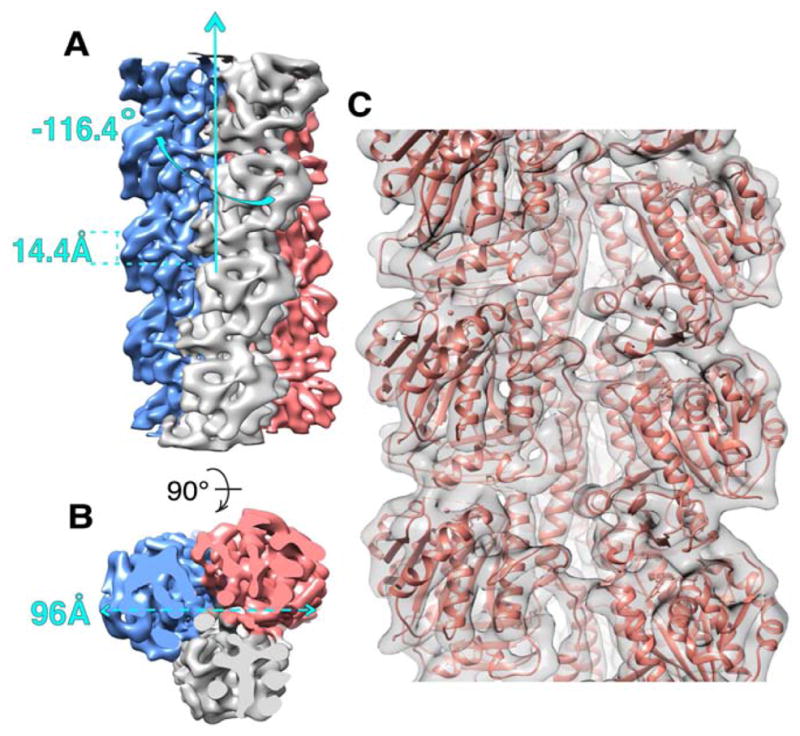 FIGURE 2