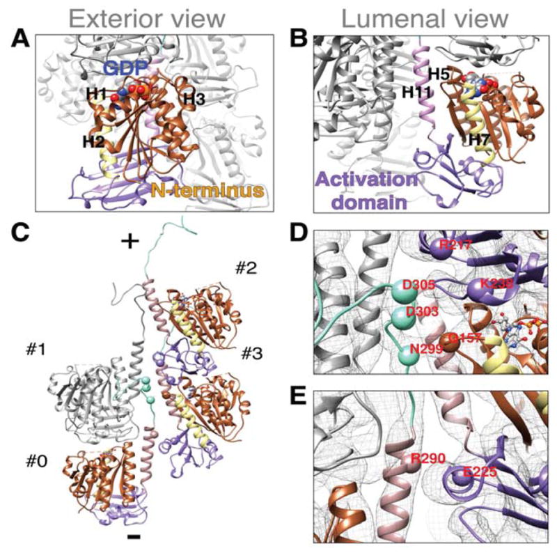 FIGURE 3