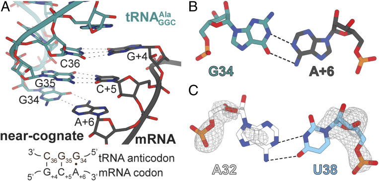 Fig. 3.