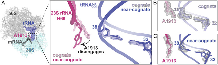 Fig. 4.