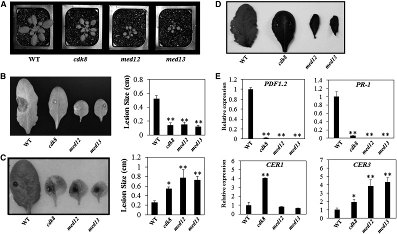 Figure 10.