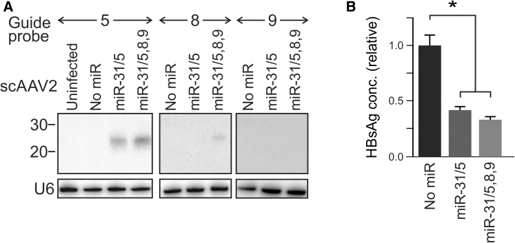 Figure 2