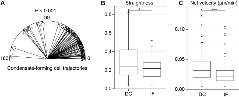 Figure 4—figure supplement 1.