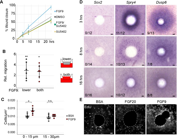 Figure 6—figure supplement 1.