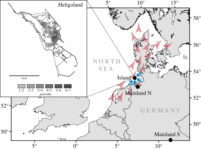 Figure 1.