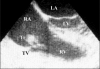 Figure 1)