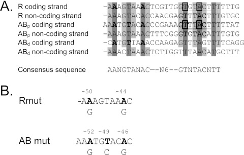 Fig 5