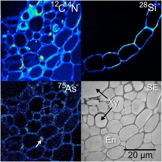 Figure 3.