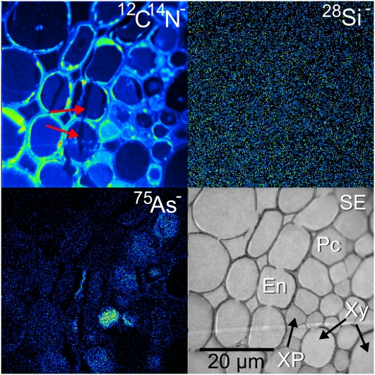 Figure 4.