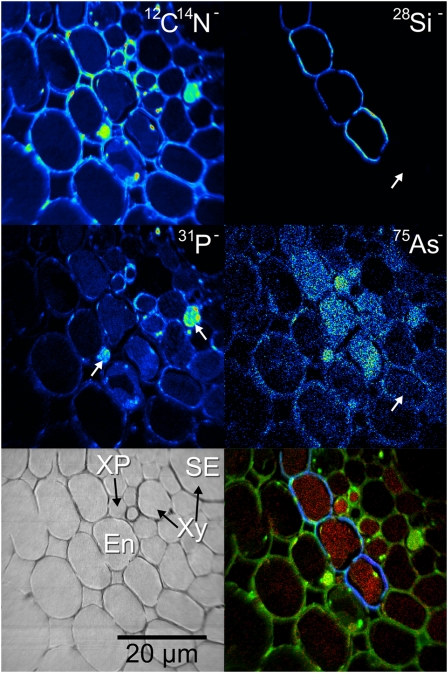 Figure 2.